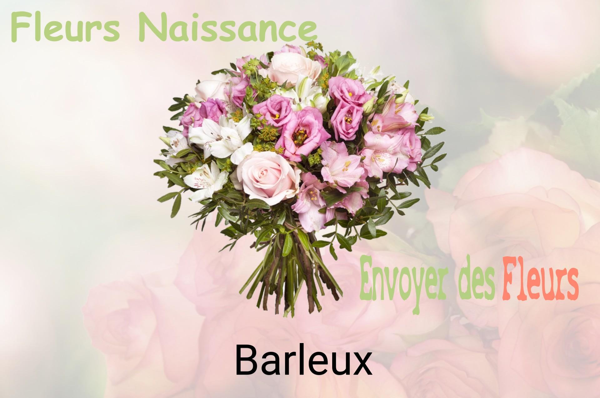 Bouquet de fleurs de naissance livré à Barleux